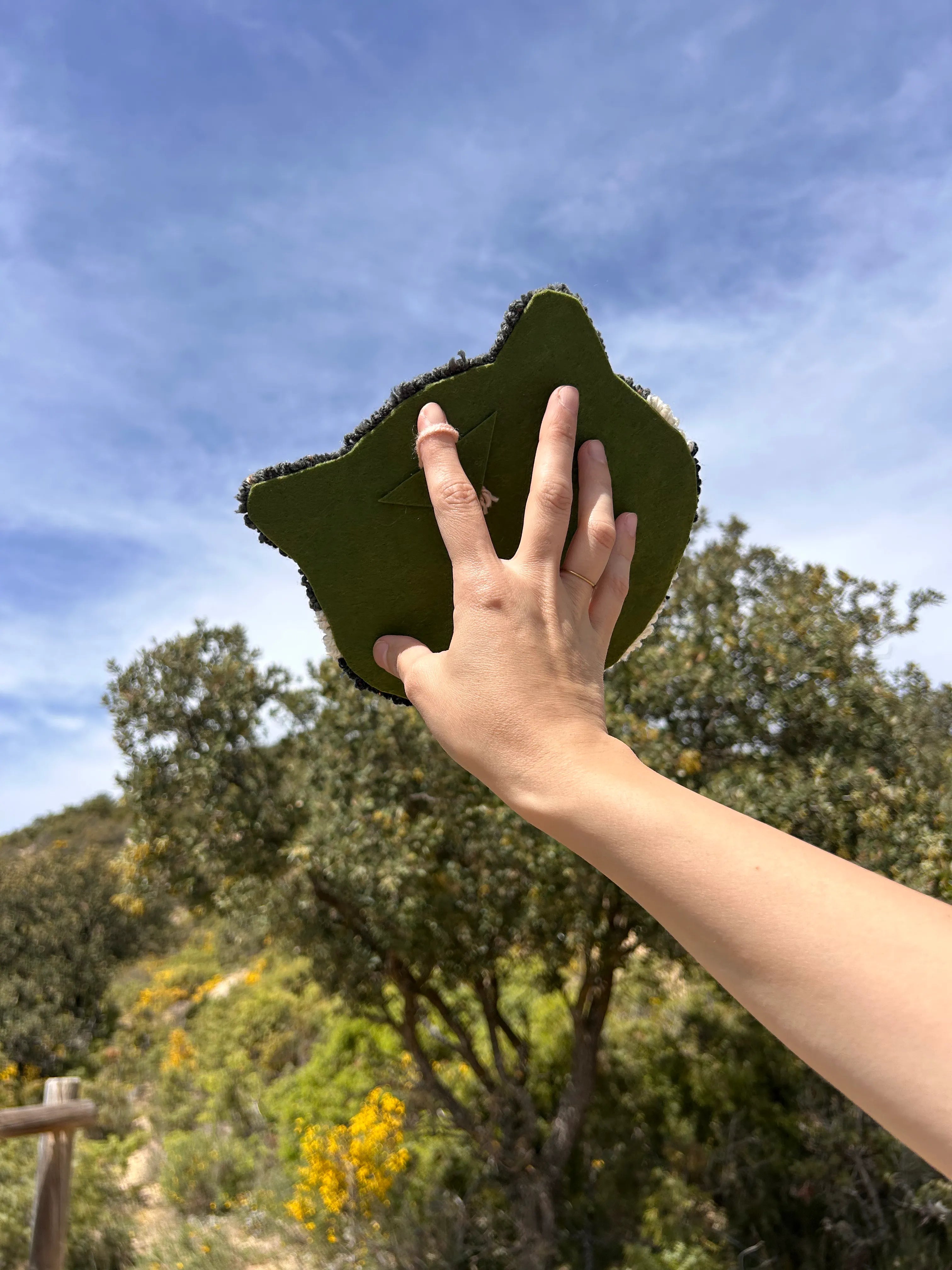 Testa di animale - Procione