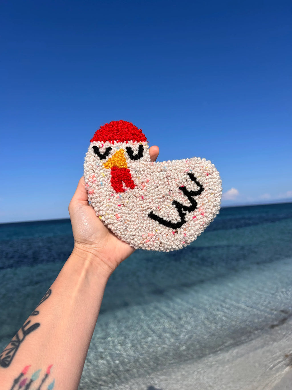 Gallinozza 🐓