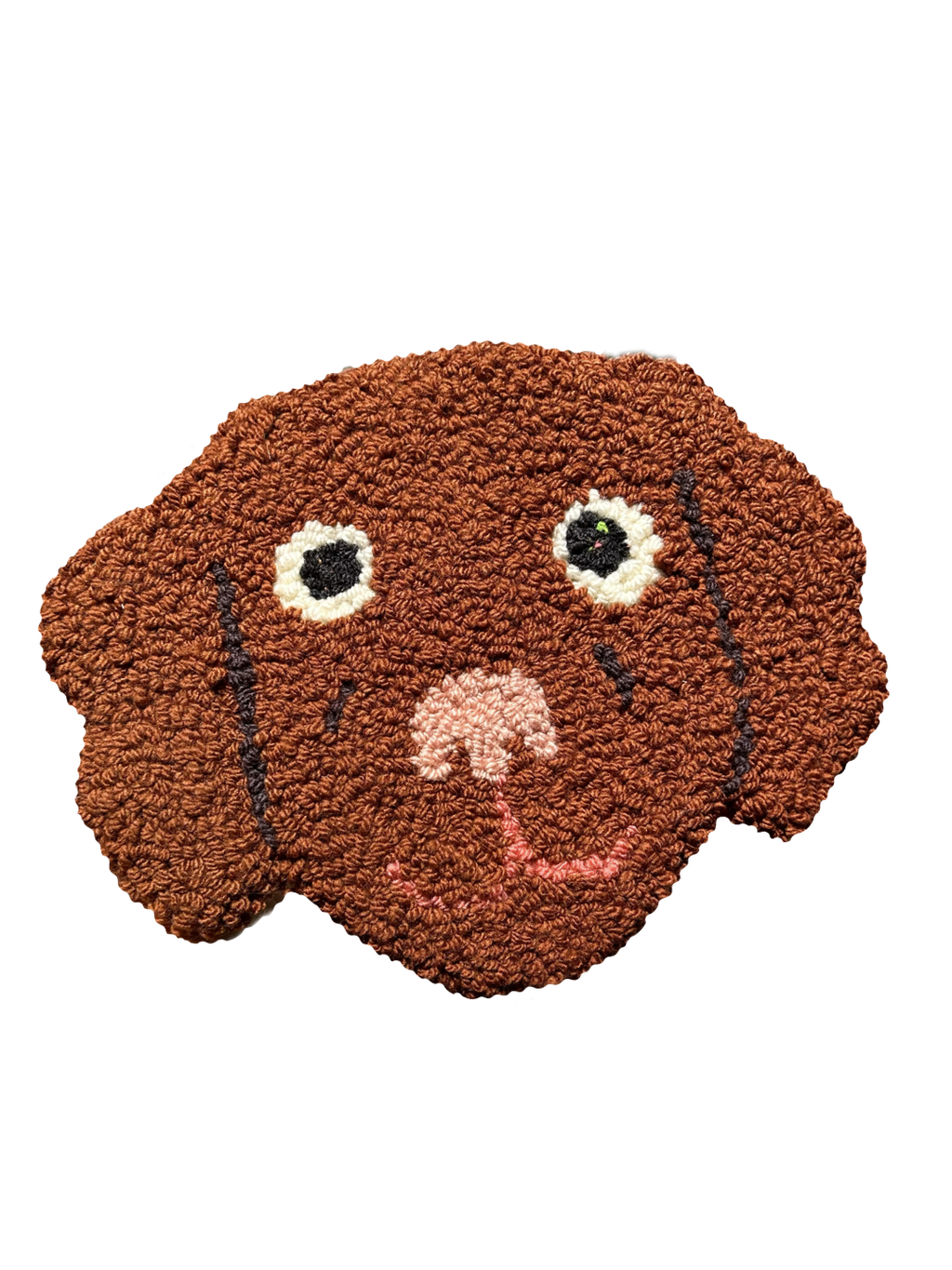 Testa di Labrador