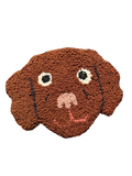 Testa di Labrador