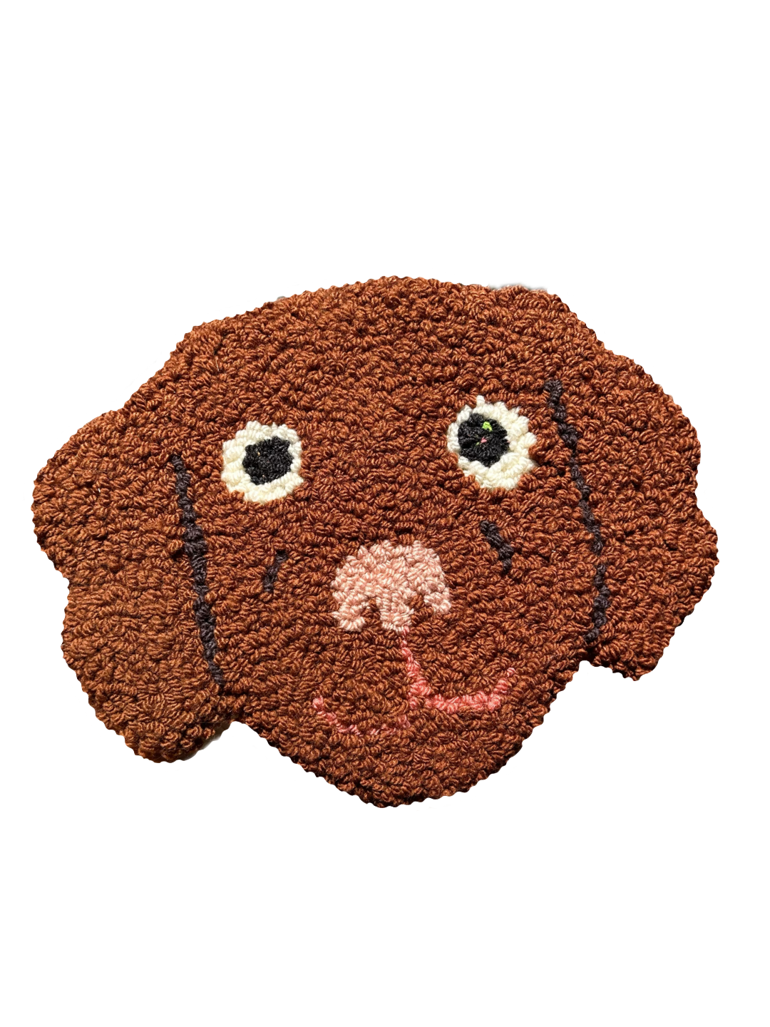 Testa di Labrador