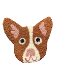 Testa di Corgi